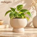 melzqaro™ Pedestal Tabletop Planter — image 1
