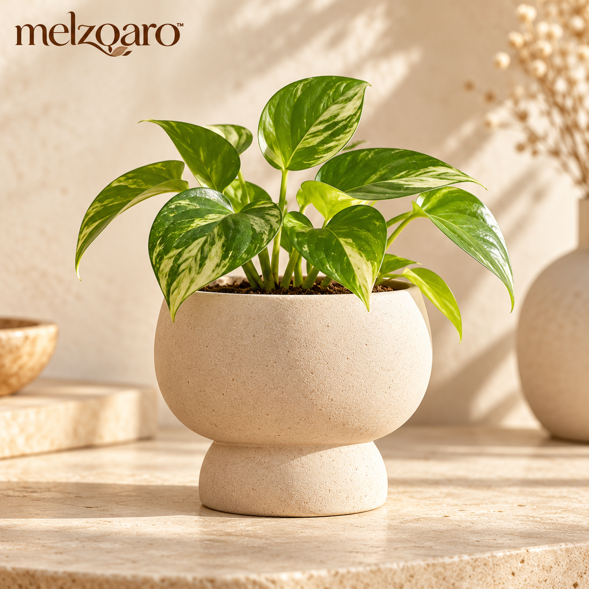 melzqaro™ Pedestal Tabletop Planter — image 1