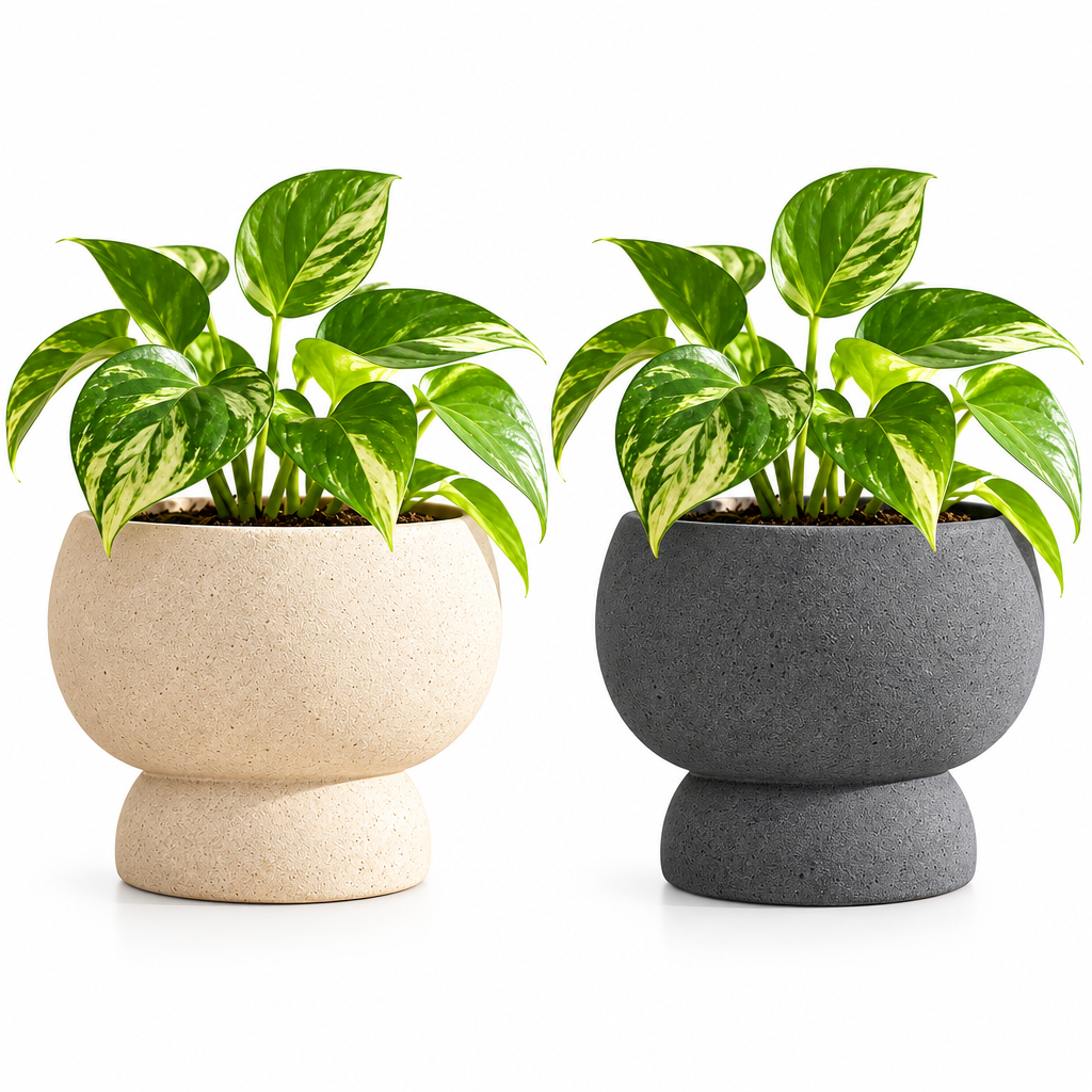 melzqaro™ Pedestal Tabletop Planter — image 3